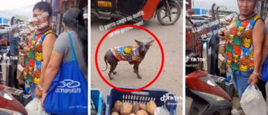 Viral: hombre presume su nuevo outfit, pero es sorprendido por perrito | VIDEO Viral: hombre presume su nuevo outfit, pero es sorprendido por perrito | VIDEO
