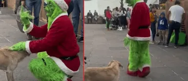El perrito de la calle se mostró emocionado con el señor Grinch. Hombre vestido de Grinch prefiere acariciar a perrito de la calle que compartir tiempo con niños