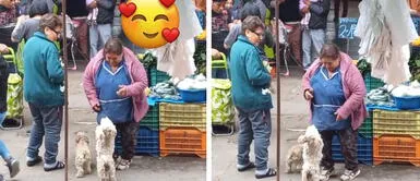 Perrito baila huayno con comerciante de mercado y video se hace viral: “Bello momento” Perrito baila huayno con comerciante de mercado y video se hace viral: “Bello momento”