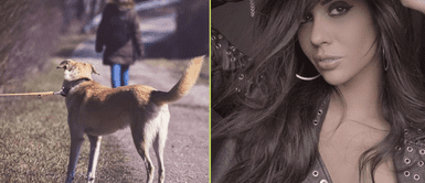 Lucía Oxenford se mostró indignada en redes sociales. "ME LLEGA al pin***": Hermana de JULIANA OXENFORD tras abandono de mascotas por irse a otro país