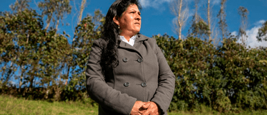 Lilia Paredes niega agresión por parte de su esposo, el presidente Pedro Castillo Lilia Paredes niega agresión por parte de su esposo, el presidente Pedro Castillo