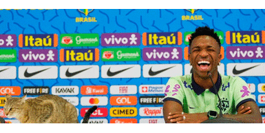 Vinicius Junior es una de las estrellas de la selección de Brasil ¿LA CÁBALA DEL CAMPEÓN?: tierno gatito INVADIÓ la conferencia de prensa de VINICIUS JUNIOR