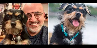 Beto Ortiz pasa sus días en México con perrita Bonnie BETO ORTIZ: "No hubiese soportado tanto tiempo en MÉXICO, sino fuese por la compañía de mi perrita"