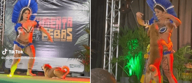 El perrito se lució con movimientos en escenario. Perrito sin hogar se roba el show de bailarina y desata carcajadas en las redes | VIDEO