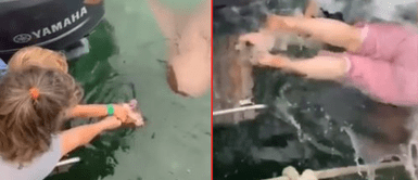 El tiburón las metió al agua. Mujer lleva a su hija a dar alimento a tiburones, pero este se confunde y las jala al estanque