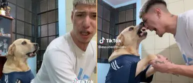El perrito hincha enamoró en TikTok. Hincha argentino festeja con su perro la victoria de Argentina y cautiva en las redes | VIDEO