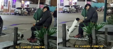 Joven en estado de ebriedad se compra hamburguesa, se queda dormido y perro se lo quita | Video Joven en estado de ebriedad se compra hamburguesa, se queda dormido y perro se lo quita | Video