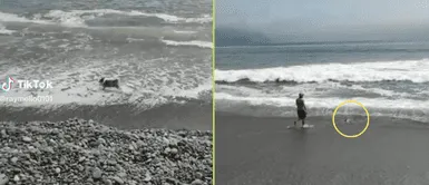 El perrito comenzó a jugar en playa con su amo. Señor lleva a su perrito a la playa para jugar, y ocurre lo impensado