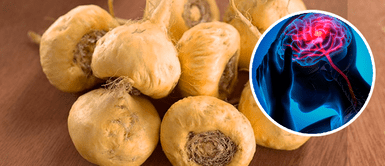 La maca tendría efecto protector ante infartos cerebrales Maca: revelan que superalimento peruano tendría efecto protector ante infartos cerebrales