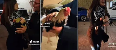 Joven asiste a intercambio de regalos y queda en "shock" al recibir un gallo de obsequio Joven asiste a intercambio de regalos y queda en "shock" tras recibir un gallo de obsequio