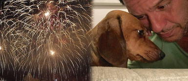 Lucho Cáceres pide comprender a los animales en Navidad y Año Nuevo Lucho Cáceres pide compasión con las mascotas en Navidad: "No a la pirotecnia" | FOTO