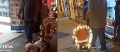 El perro paseó a Santa Claus en el trineo. Perro se vuelve el reno de Papá Noel y lo lleva a pasear por las calles