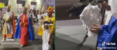 El perro lució un curioso disfraz de oveja. Perrito participa como oveja en caravana de Reyes Magos y se vuelve viral en redes