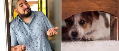 Cinesmero criticado por burlarse perros Cinesmero criticado por burlarse perros