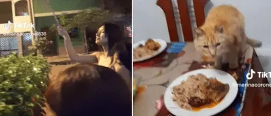 El gatito sorprendió a sus papás humanos en casa. Familia se va a reventar cohetes por fiestas de fin de año y gato casi se acaba todo el pavo