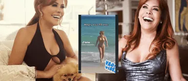 Usuarios destacan la rutina que tiene Magaly Medina. Magaly Medina: usuarios defienden a la conductora tras lucirse en playa de Miami