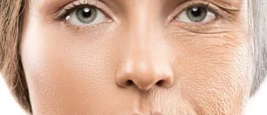 bioestimulantes Bioestimulantes, el nuevo aliado para potenciar la formación de colágeno en la piel