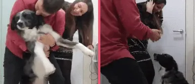 Pareja se encierra en un baño junto a su perro y lo distraen con música para evitar su sufrimiento por la pirotecnia Pareja se encierra en un baño junto a su perro y lo distraen con música para evitar su sufrimiento por la pirotecnia
