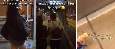 Metropolitano: mujer dice estar embarazada, pero llevaba a su perro en su vientre "Dios mío, parió un perro": mujer se hace pasar como embarazada para viajar con su mascota en el Metropolitano