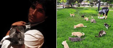 Pedro Suárez Vértiz muestra su amor por los animales. Pedro Suárez Vértiz sobre la adopción de gatos en Miraflores: "Serás muy feliz y tendrás una linda historia que contar"