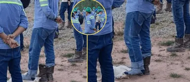 Usuarios reaccionaron al ver el video del gato con el trabajador. Hombre da masajes a gato con su pie durante reunión de trabajo y se vuelve viral en redes