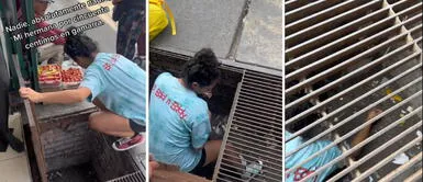 Gamarra: se le cae 50 céntimos a mujer y no duda en meterse a una rendija para recuperarlo Gamarra: se le cae 50 céntimos a mujer y no duda en meterse a una rendija para recuperarlo