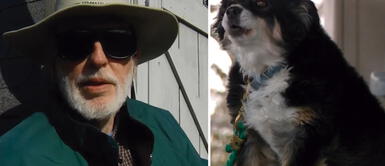 Bill Dorris dejó su herencia a su perro de raza ‘border collie’ Hombre dejó como herencia 5 millones de dólares a su perrito "para satisfacer sus necesidades"