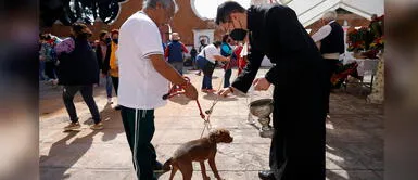 Los perritos conmovieron a miles en las redes sociales. Perros y gatos desfilan en iglesia del centro de México dedicada a San Antonio Abad