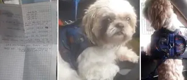 Perrito fue abandonado en un taxi en Colombia Abandonó a su perrito en un taxi: "Fue a retirar dinero en un cajero, pero nunca más volvió"