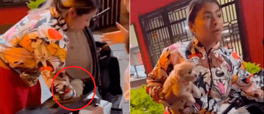 Mujer tenía atrapado a cachorro que lloraba dentro de su moto y se molesta cuando ciudadanos la encaran Mujer tenía atrapado a cachorro que lloraba dentro de su moto y se molesta cuando ciudadanos la encaran