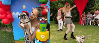 Brenda Carvalho anima fiesta de cumpleaños de perrito y usuarios reaccionan: "Metas en mi vida" Brenda Carvalho anima fiesta de cumpleaños de perrito y usuarios reaccionan: "Metas en mi vida"