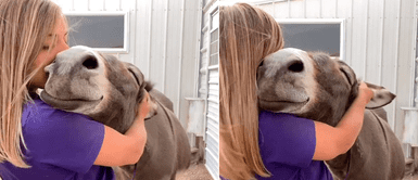 Burrito no deja de sonreír cuando su dueña la abraza, pero sonrisa oculta una triste historia Burrito no deja de sonreír cuando su dueña la abraza, pero sonrisa oculta una triste historia