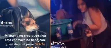 Joven tiene peculiar idea para ir a la discoteca. Joven llevó a su perrito a una discoteca para que no se quede solo en casa