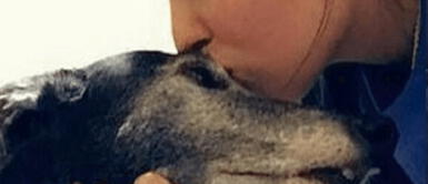 Perrita estuvo cerca de la muerte, pero el amor de su dueña pudo más: conoce la historia de 'Faith' Perrita estuvo cerca de la muerte, pero el amor de su dueña pudo más: conoce la historia de 'Faith'