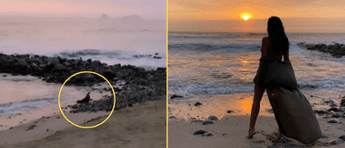 Melissa Paredes se encontró con un lobito de mar. Melissa Paredes se encuentra con lobo marino bebé en la orilla del mar y enternece en redes