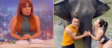 Jesús Barco y Melissa Klug tienen planes de matrimonio. Magaly Medina ataca a Jesús Barco tras llamar 'tontera' a planes de boda con Melissa: "¿Problemas en el paraíso?"