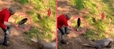 VIRAL: Anciano se salva de morir tras enfrentar temerariamente a un cocodrilo VIRAL: Anciano se salva de morir tras enfrentar temerariamente a un cocodrilo