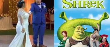 La pareja bailó una romántica canción de Sherk. ¡Modo romántico! Pareja canción de la película "Sherk" durante festejos de la boda
