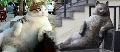 Gatita 'Tombili' se inmortalizó en Turquía por su curiosa postura para descansar La gatita más querida del mundo fue homenajeada con una estatua