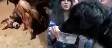 Rosa Vargas recogía perros de la calle para que sean maltratados por otros canes Perritos son rescatados del infierno: señora recogía perros para que sean masacrados por sus canes