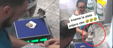 Tiktok Viral: ave deja en shock a todos al robar dinero de la caja registradora de un cliente Tiktok Viral: ave deja en shock a todos al robar dinero de la caja registradora de un cliente
