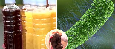 Examinan refrescos de la muerte de un sol y encuentran 130 mil bacterias y hongos mortales contra la salud Examinan "refrescos de la muerte" de un sol y encuentran 130 mil bacterias y hongos mortales contra la salud