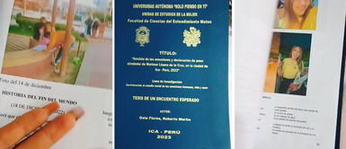 Ica: joven conoce a mujer en protesta contra Dina Boluarte y le pide que sea su enamorada con su tesis Ica: joven conoce a mujer en protesta contra Dina Boluarte y le pide que sea su enamorada con su tesis