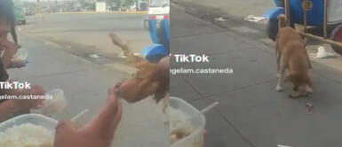 El video se volvió viral en las redes sociales. Le quita presa de pollo a su amigo y se lo regala a un perrito: "Trofeo para Firulais"