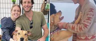 Una familia responsable se conmovió con la historia del perrito Alexander y lo terminó adoptando Perrito se emocionó tras ser adoptado, luego de 500 días en albergue, y agradeció a su dueño con tierno abrazo