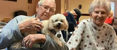 La pareja enterneció a los usuarios con su historia de amor. ¡Románticos! Adultos mayores celebran sus 70 años de matrimonio en el Día de San Valentín