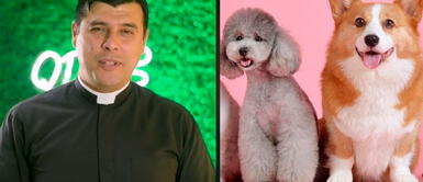 Sacerdote Jorge Vargas indica que sí se puden bendecir a los animales ¿Se pueden bendecir a los animales? El padre Jorge Vargas rompe el misterio en TikTok