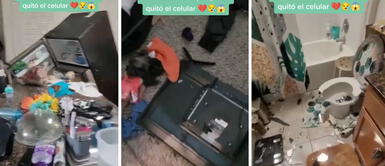 Adolescente destroza su casa porque le quitaron el celular y usuarios se indignan: Yo le reinicio el Windows Adolescente destroza su casa porque le quitaron el celular y usuarios se indignan: "Yo le reinicio el Windows"