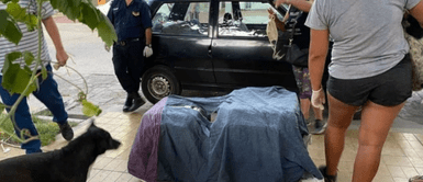 Un grupo de animalitos fueron rescatados con vida. Mujer mataba perritos y gatos para 'absorber sus energías' y ponía sus cuerpos en refrigerador