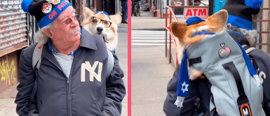 Perrito causa sensación por andar vestido con el mismo estilo que su papá humano Perrito causa sensación por andar vestido con el mismo estilo que su papá humano